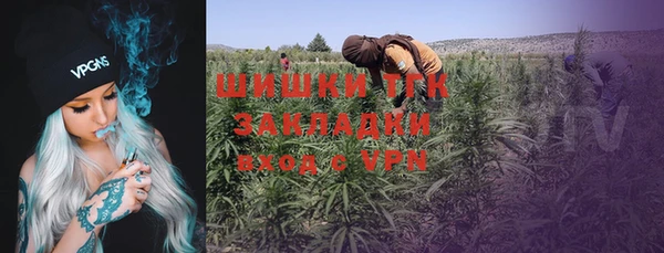 прущая мука Богородицк