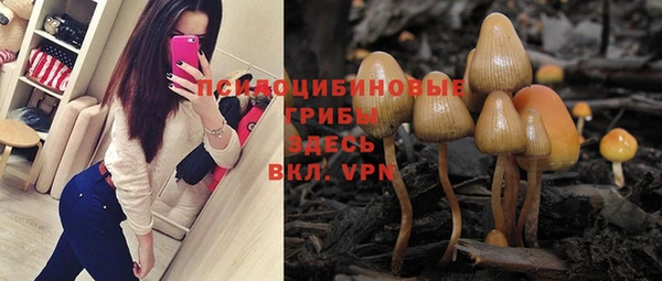 марки nbome Богданович