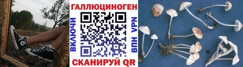 Псилоцибиновые грибы Psilocybine cubensis  цены   ссылка на мегу как войти  Бодайбо 